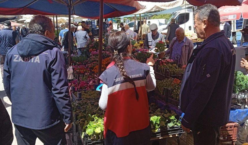 Kütahya Domaniç’te pazarda fide denetimi yapıldı