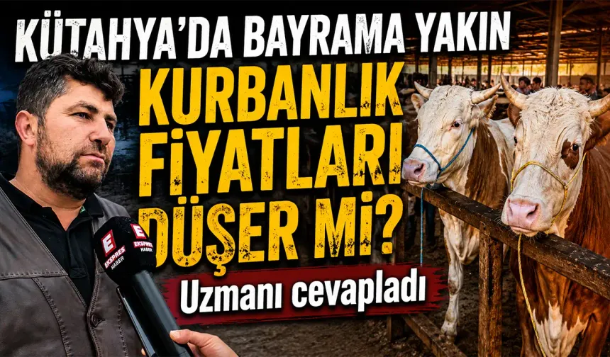 Kütahya’da bayrama az kaldı, kurbanlık uyarısı geldi