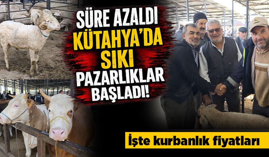 Kütahya’da canlı hayvan pazarında hareketlilik arttı