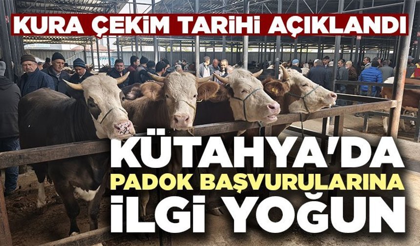 Kütahya'da canlı hayvan pazarında padok başvuruları başladı