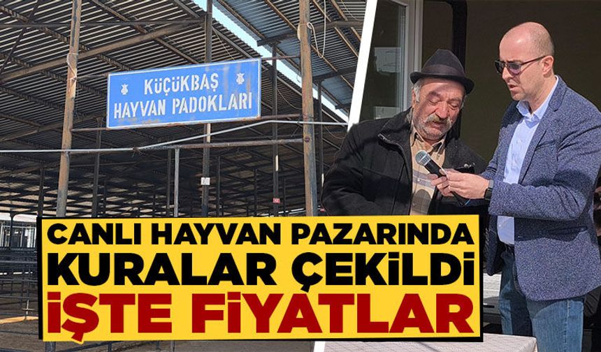 Kütahya’da canlı hayvan pazarında padok kuraları çekildi