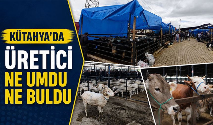 Kütahya’da canlı hayvan pazarında son durum