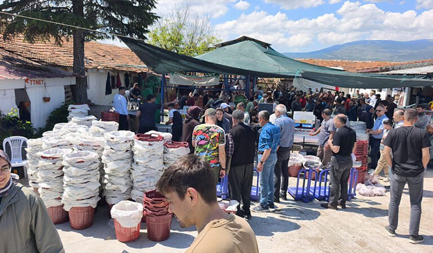 Kütahya’da kesimhanelerde bayram yoğunluğu