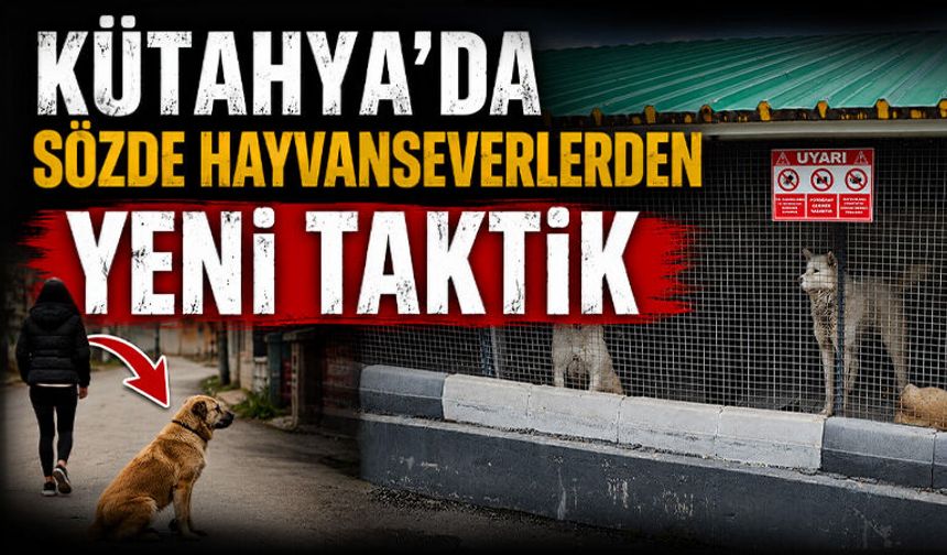 Kütahya’da sözde hayvanseverlere para cezası uygulanıyor