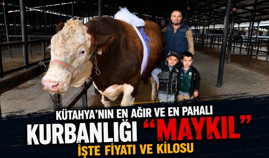 Kütahya’nın en ağır kurbanlığı “Maykıl” oldu