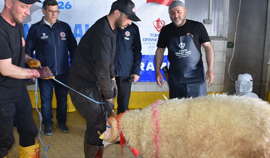 TDV’den Afyonkarahisar’da Kurban organizasyonu