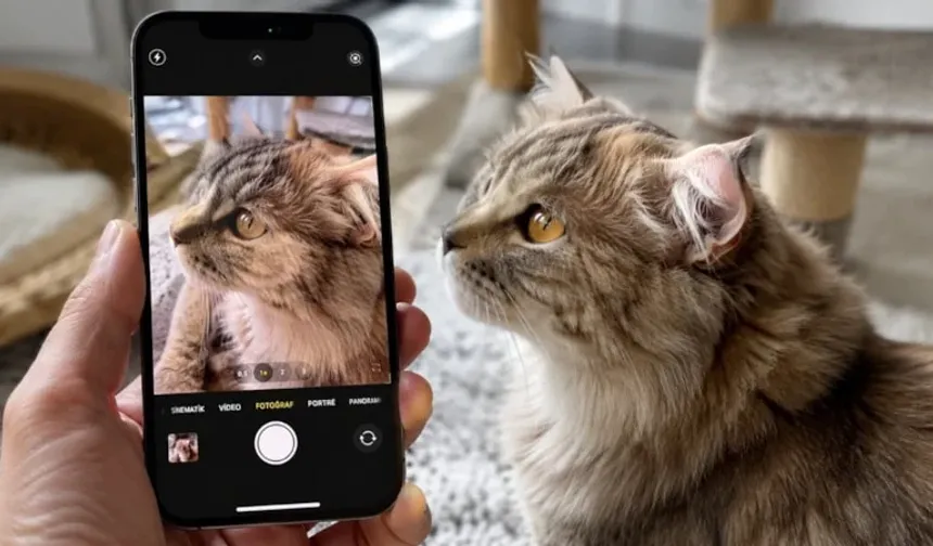 iPhone'daki bu ayar pireleri tespit etmeyi kolaylaştırıyor