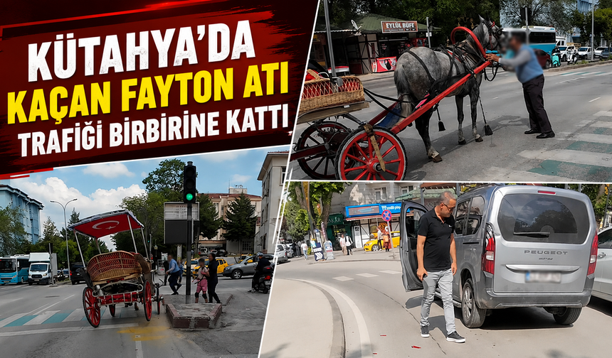 Kütahya'da kaçan fayton atı trafiği birbirine kattı