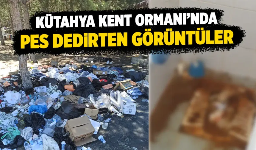 Kütahya Kent Ormanı’nda istenmeyen görüntüler