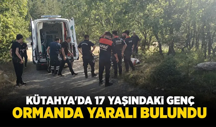 Kütahya’da 17 yaşındaki genç, ormanda yaralı bulundu