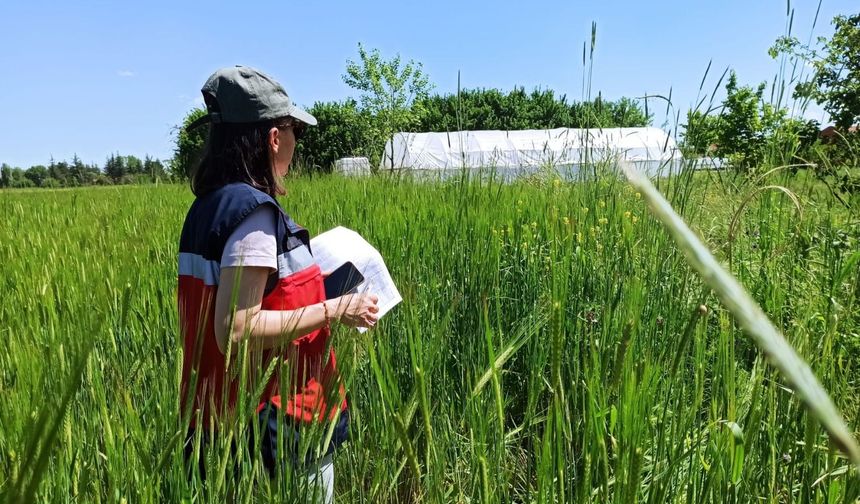 Kütahya'da merkez köylerde kapalı üretimlere denetim