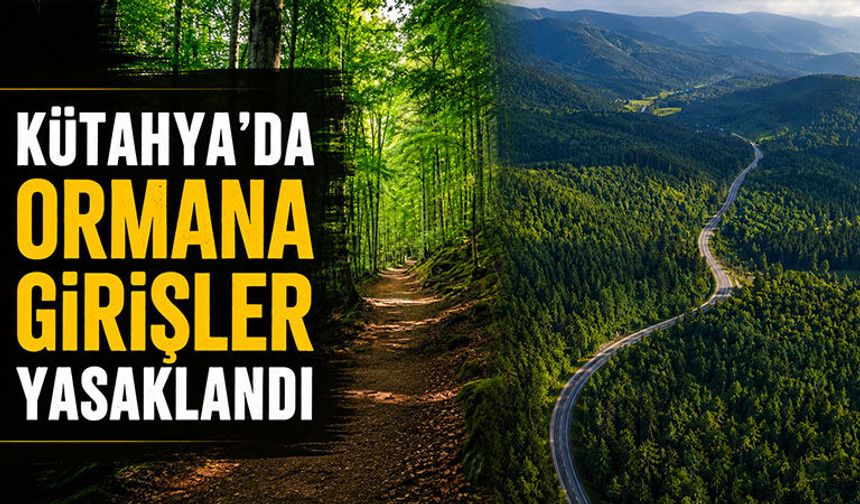 Kütahya’da ormana giriş-çıkış yasağı başladı