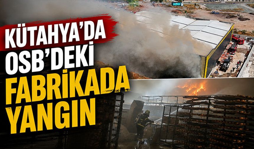 Kütahya'da OSB'deki fabrikada yangın