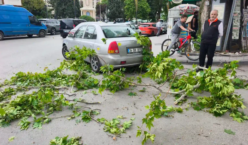 Kütahya’da park halindeki otomobile ağaç parçası düştü