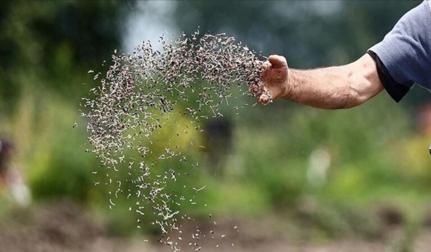 Türkiye tohum ihracatında yeni rekor kırdı
