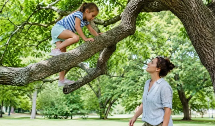 Ağaca tırmanan çocuklar bu becerilerini geliştiriyor