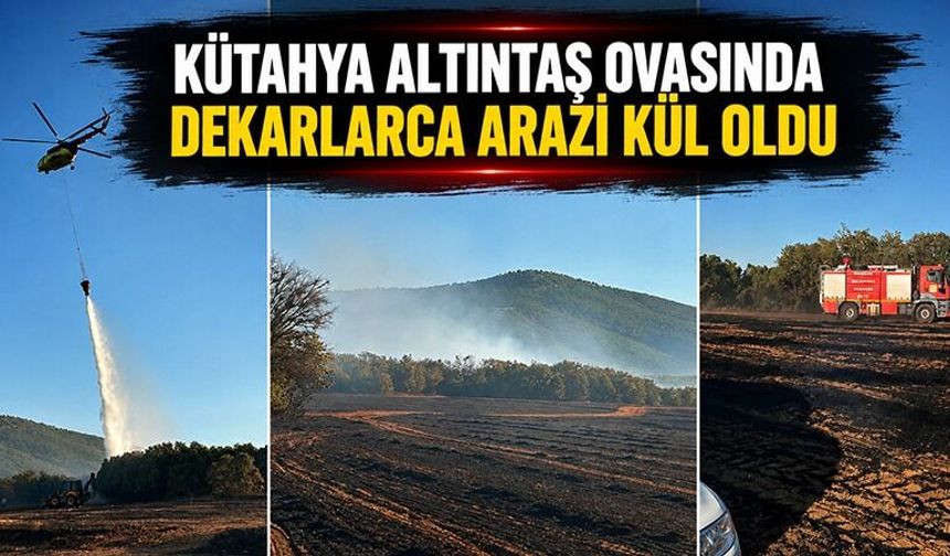 Kütahya Altıntaş Ovası'nda dekarlarca arazi kül oldu