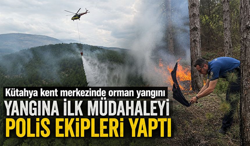 Kütahya kent merkezinde orman yangını çıktı