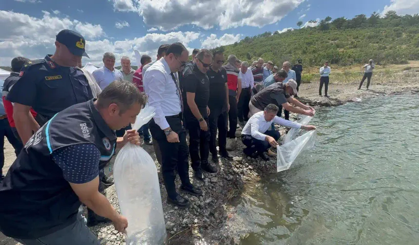 Kütahya Tavşanlı'da göletlere 123 bin balık bırakıldı