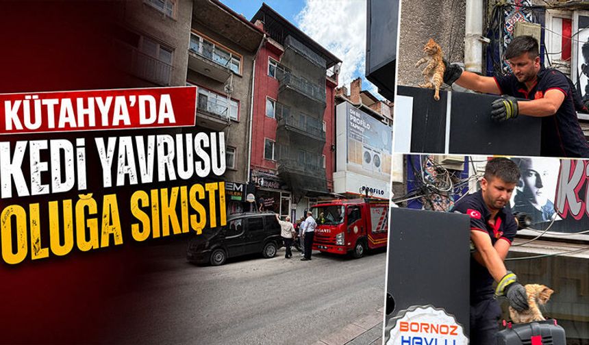 Kütahya'da çatı oluğuna sıkışan kedi kurtarıldı