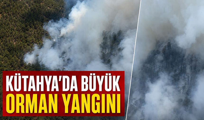 Kütahya'da çıkan orman yangınına müdahale ediliyor