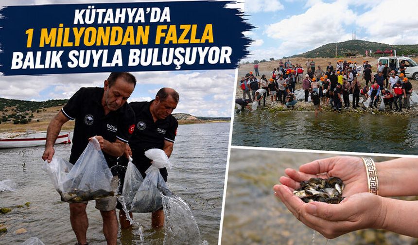 Kütahya’da iç su kaynakları balıklandırılıyor