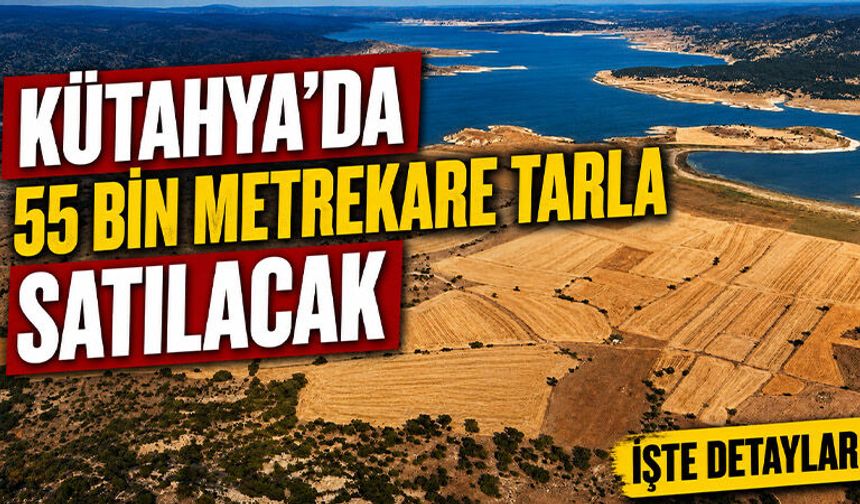 Kütahya’da onbinlerce metrekare tarla satılacak