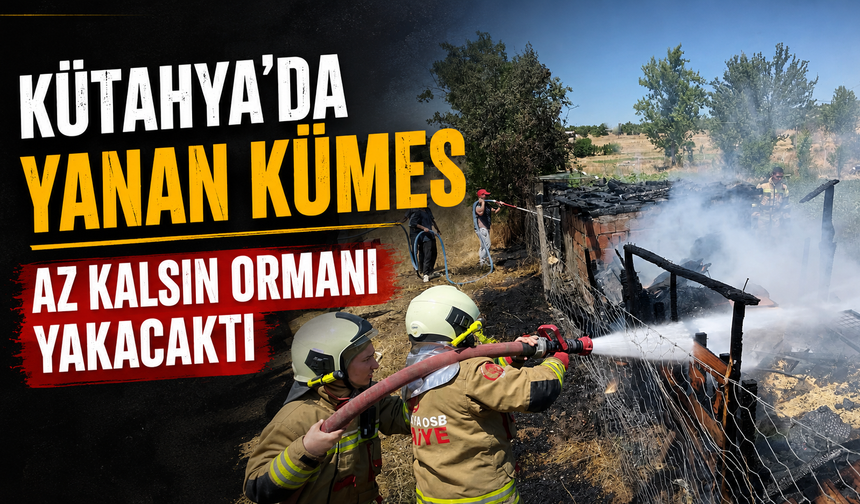 Kütahya'da OSB itfaiyesi yangının ormana sıçramasını önledi
