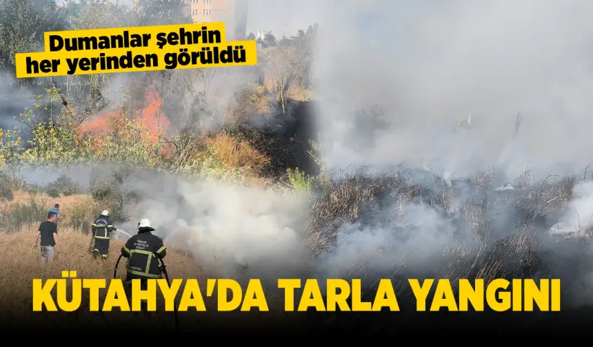 Kütahya'da tarlada çıkan yangın söndürüldü