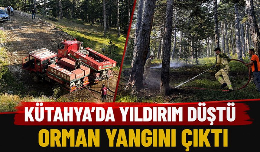 Kütahya’da yıldırım orman yangınına neden oldu