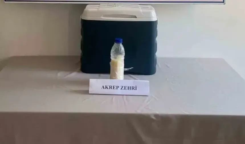 Pet şişeden servet çıktı! Değeri 5 milyon dolar