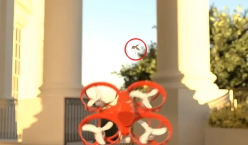 Yapay zekalı avcı drone sivrisinekleri havada avlıyor