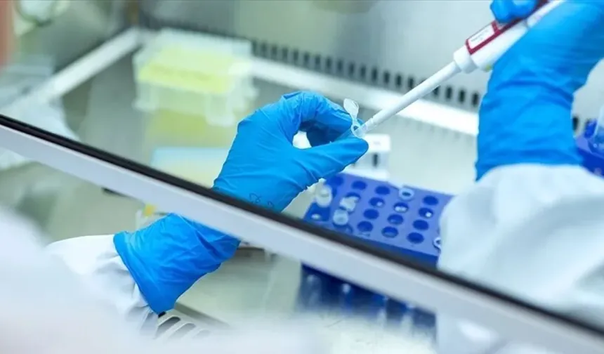 Kanser hücrelerinin bağışıklıktan kaçış sırrı çözüldü