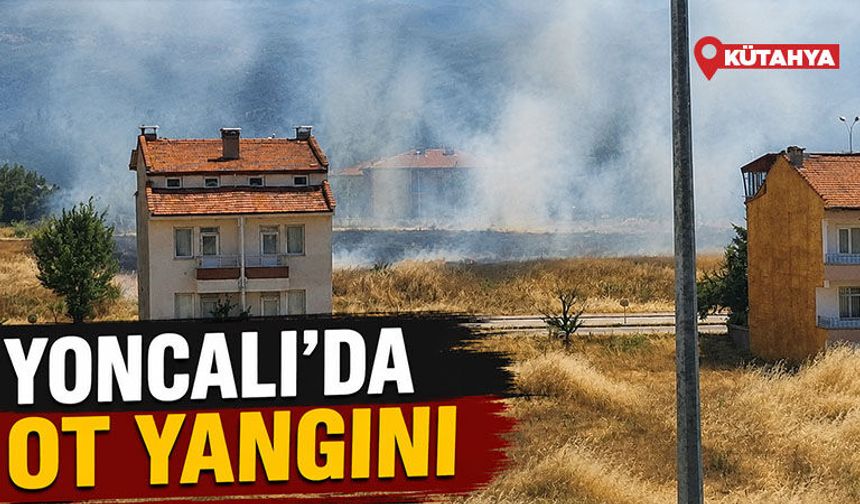 Kütahya Yoncalı'da ot yangını ekipleri alarma geçirdi