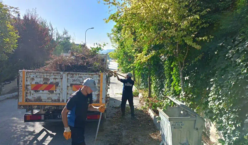 Kütahya’da 100. Yıl Mahallesi’nde ot temizliği