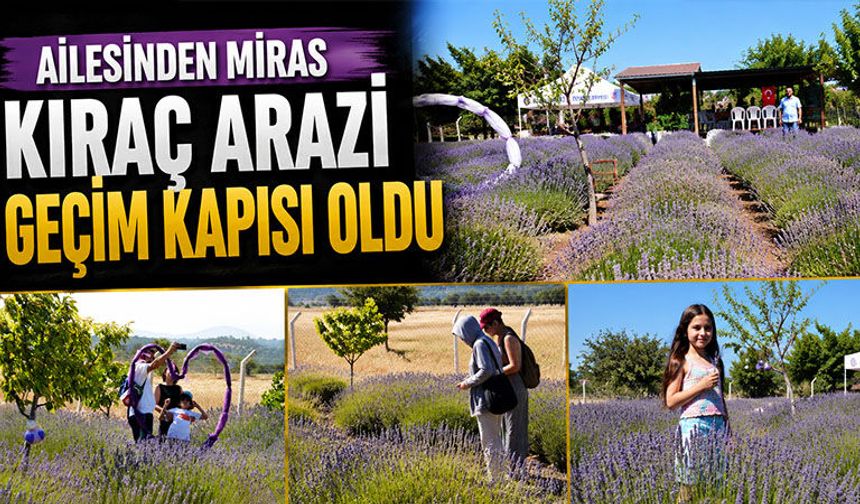 Kütahya’da ailesinden miras araziyi “Lavantistan”a çevirdi