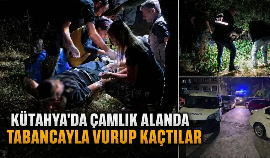 Kütahya'da bir kişi tabancayla vurulmuş halde bulundu