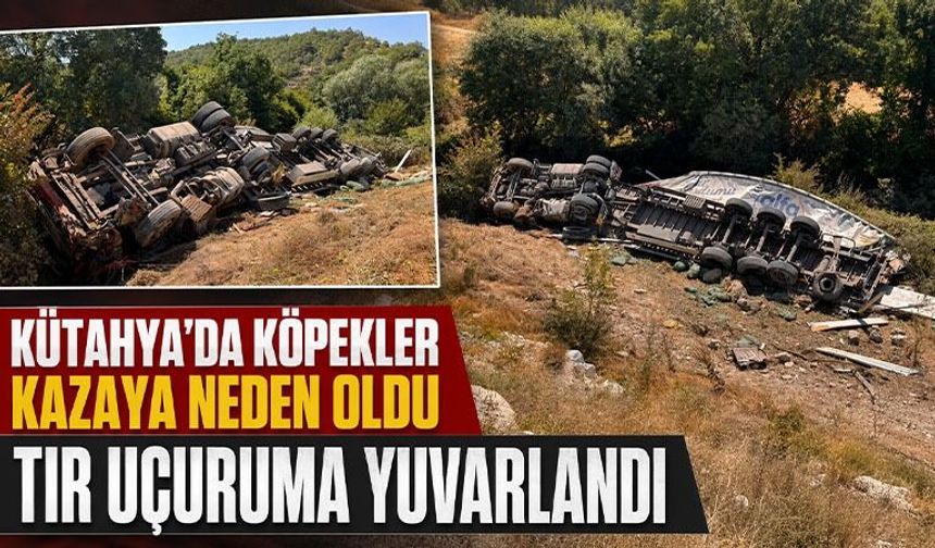 Kütahya'da köpekler tırın uçuruma devrilmesine neden oldu