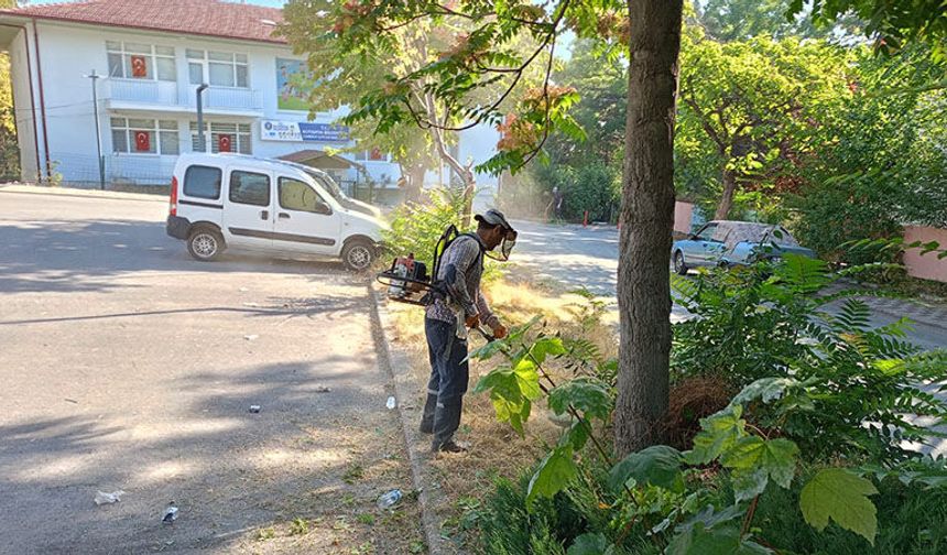 Kütahya’da ot biçimi ve temizliği devam ediyor