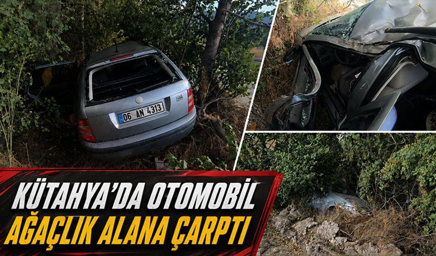 Kütahya'da otomobil ağaçlık alana çarptı, sürücü yaralı