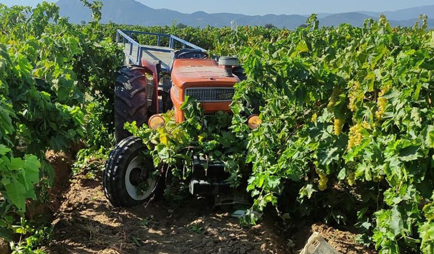 Manisa’da traktörün çarptığı kadın hayatını kaybetti