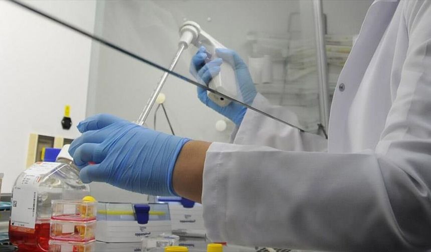 Rekabet Kurumu ilaç sektörünü mercek altına aldı