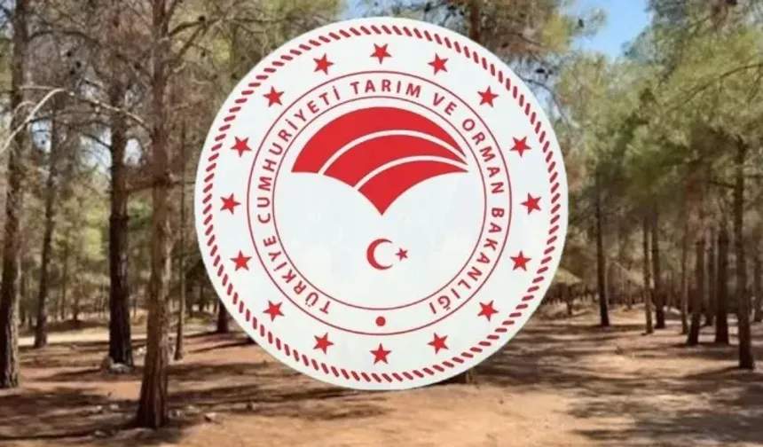 Tarım ve Orman Bakanlığı personel alımı başvuruları başladı