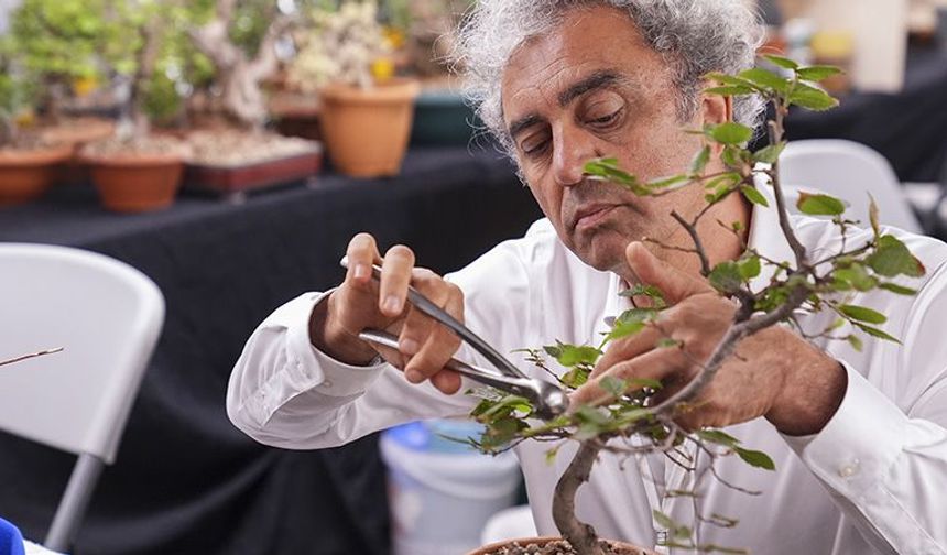 Saksıdaki ağaçları yıllar süren emekle sanata dönüştürüyorlar