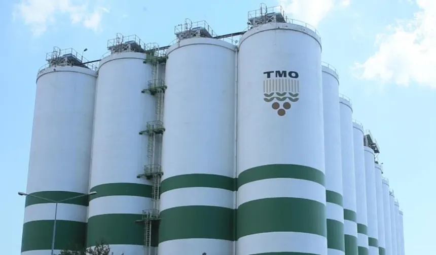 TMO'dan çiftçilere 3,6 milyar liralık ödeme