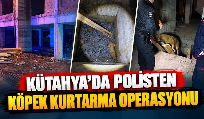 Kütahya’da polis ekibi asansör boşluğuna düşen köpeği kurtardı