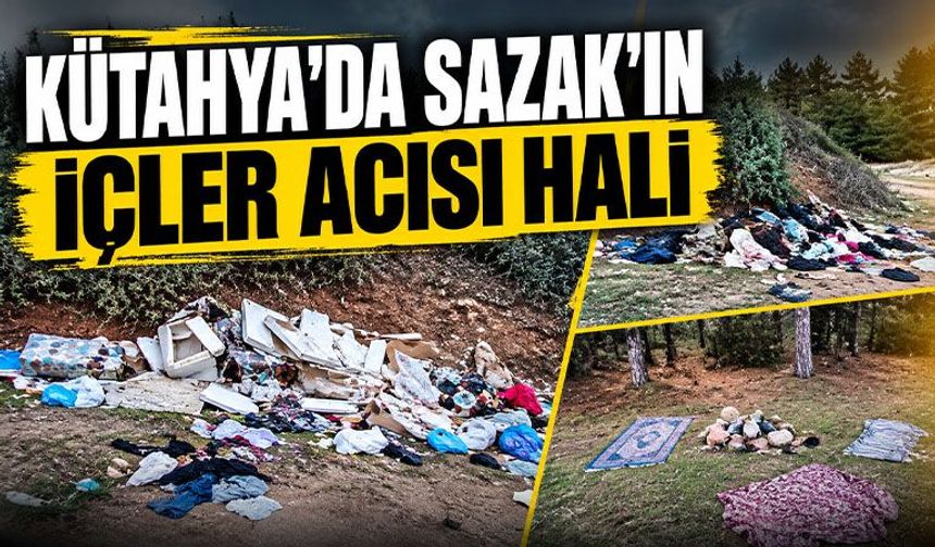 Kütahya’da piknik alanına insan eli değdi, sonuç bu