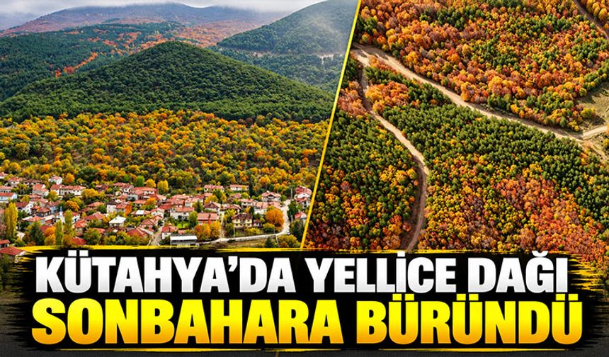 Kütahya’da Yellice Dağı, sonbahar renklerine büründü