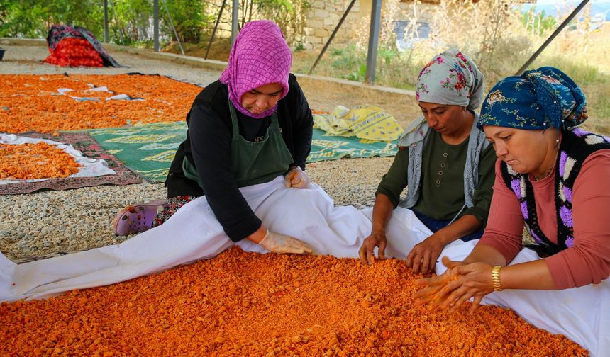 Uşaklı kadınlar imece usulü üretimle tarhanayı sofralara taşıyor