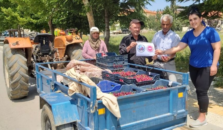 Pazarlar kirazı denetim altında